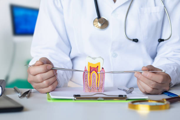 Best Emergency Tooth Extraction in Lebanon South, PA